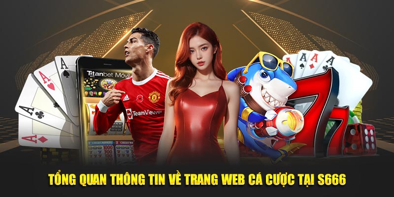 Tổng quan thông tin về trang web cá cược tại S666